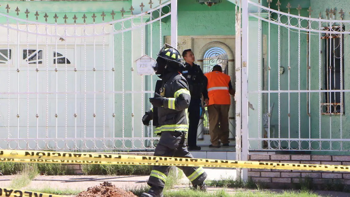 WhatsApp Image 2026-03-20 at 1.09.20 PM