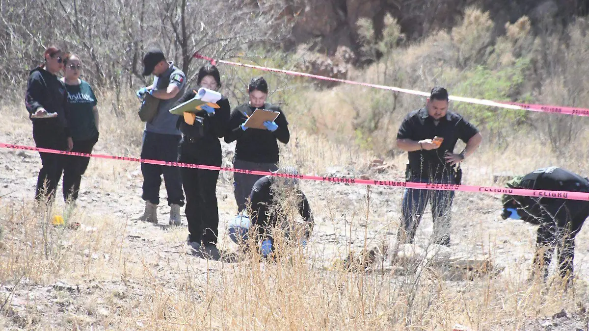 WhatsApp Image 2026-03-20 at 1.45.38 PM