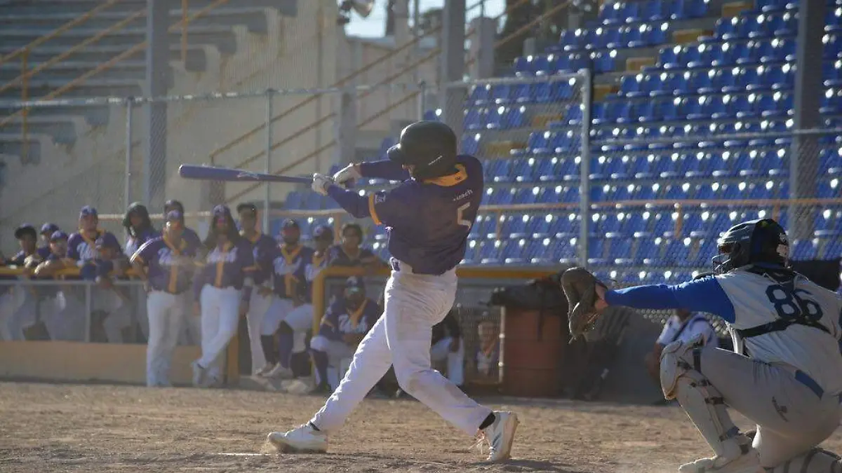 WhatsApp Image 2026-03-20 at 11.40.16 AM