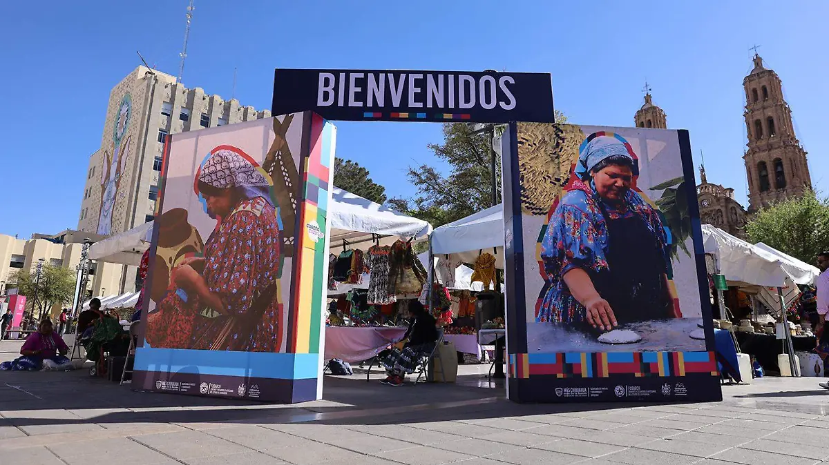 c0d5ef22-db52-4da4-9cdd-9f3935a27be5