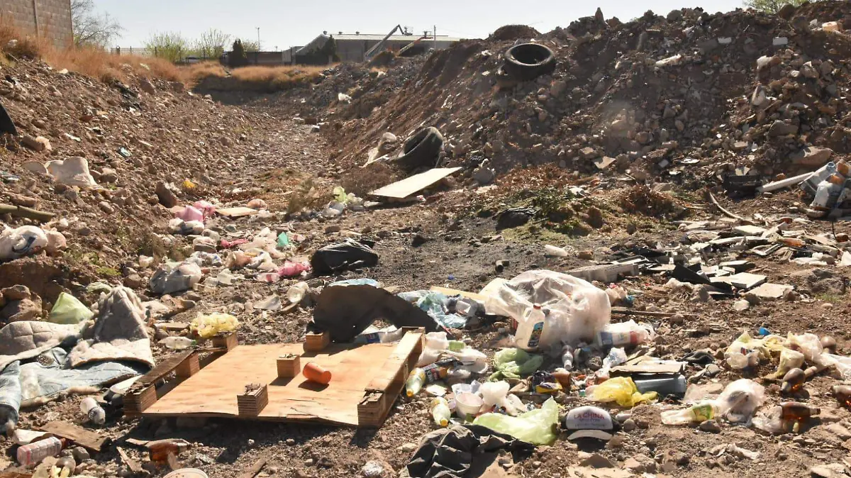 WhatsApp Image 2026-03-21 at 10.57.42 AM