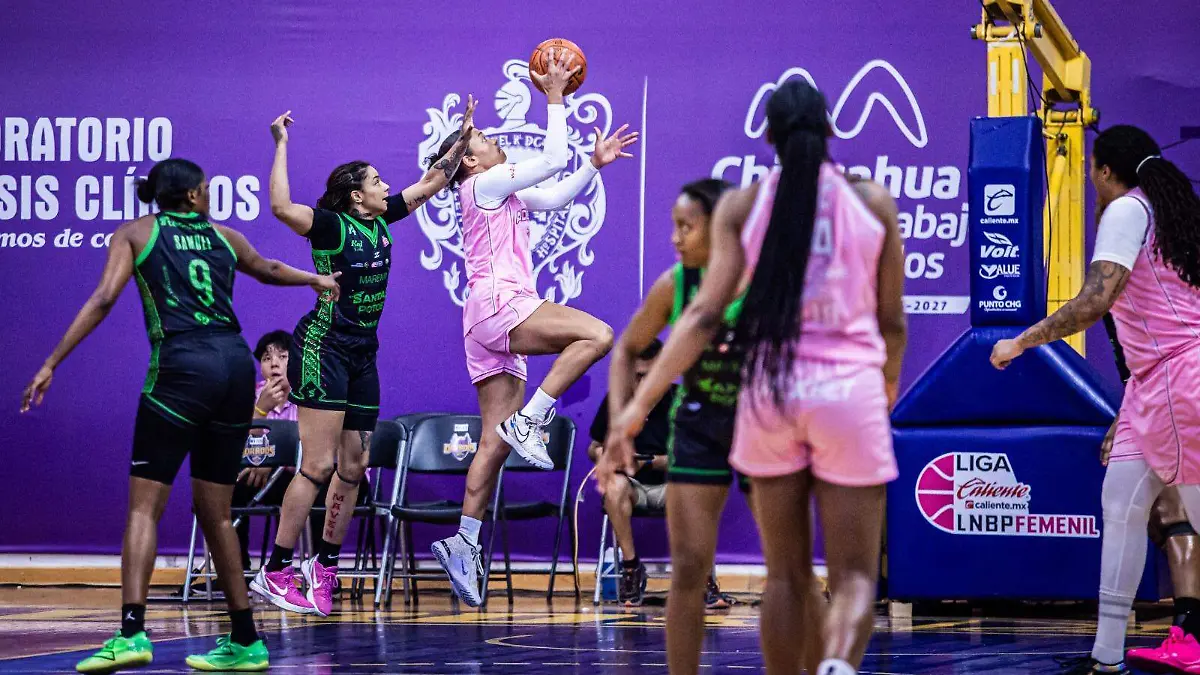 WhatsApp Image 2026-03-21 at 3.26.19 PM