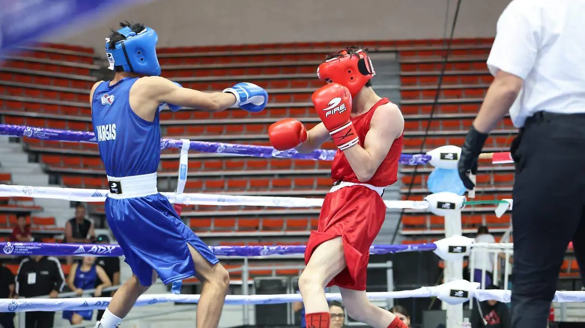 655896766_1277000817950007_6131512661925937289_n