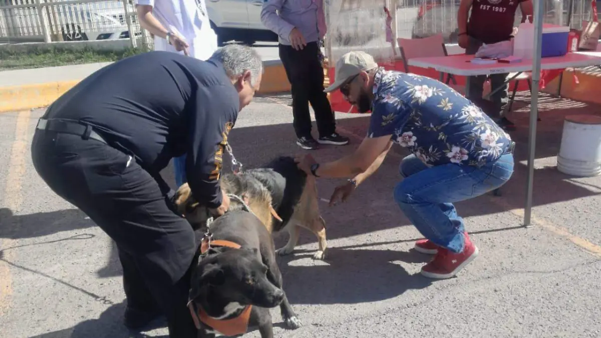 Vacunación antirrabica