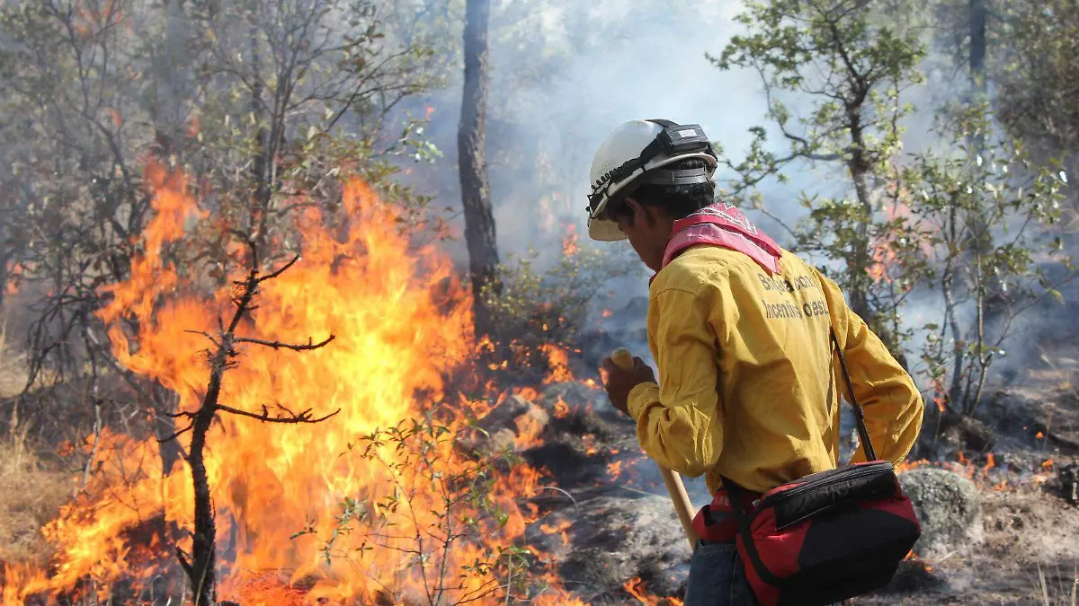 WhatsApp Image 2026-03-23 at 3.36.33 PM