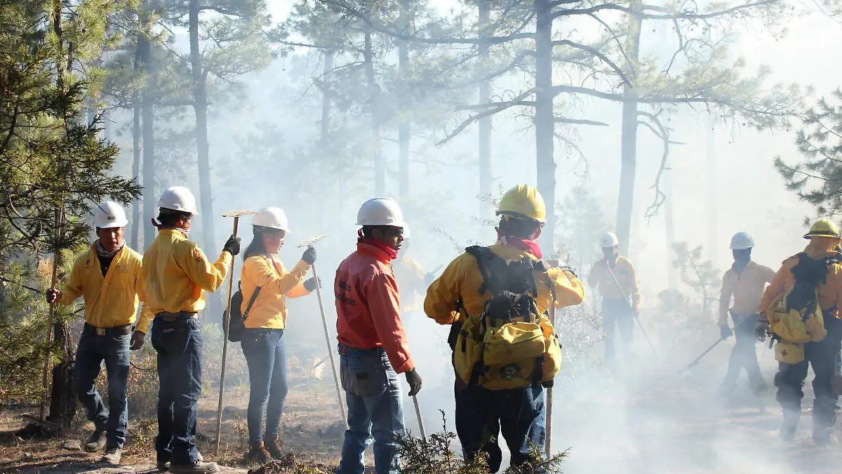 Incendios forestales