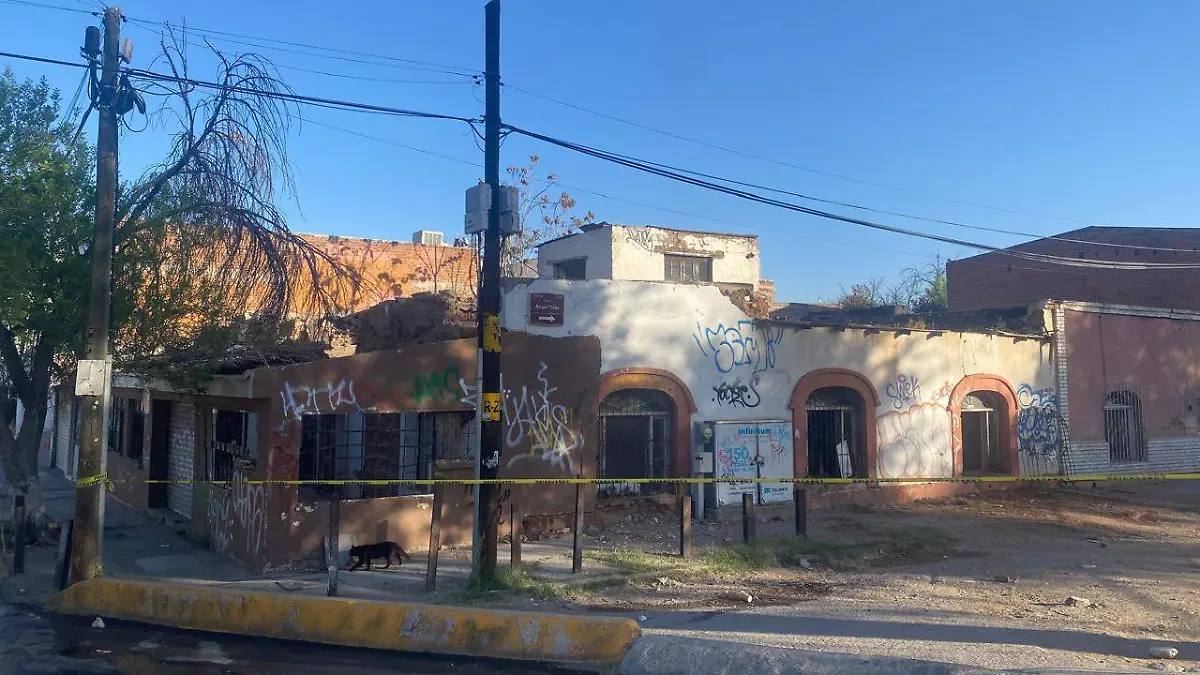 WhatsApp Image 2026-03-24 at 7.14.25 AM