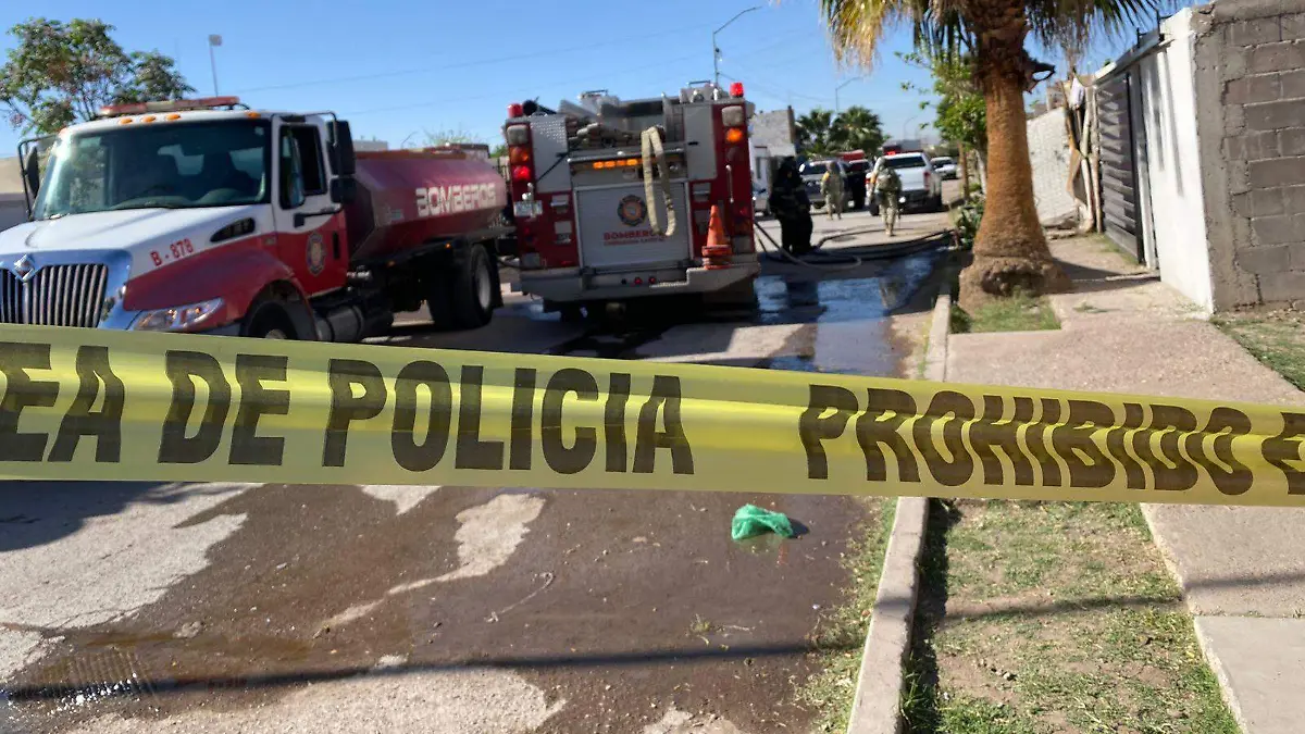 WhatsApp Image 2026-03-24 at 9.46.28 AM