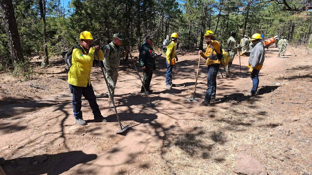 WhatsApp Image 2026-03-24 at 12.44.13 PM (2)