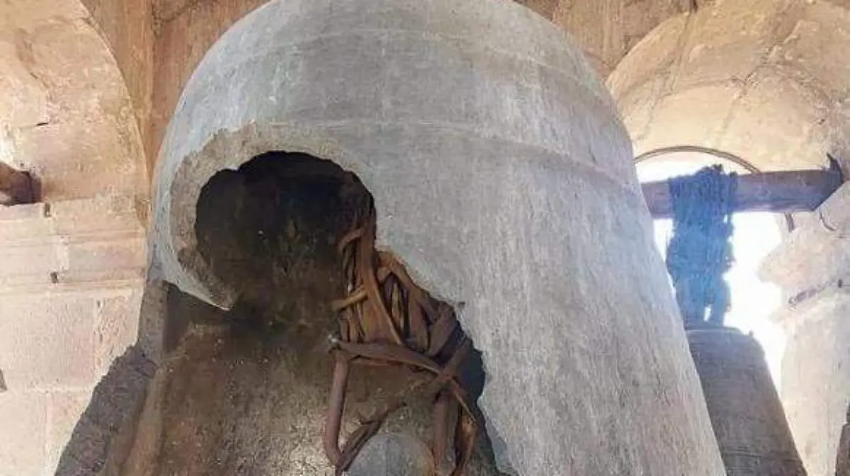 WhatsApp Image 2026-03-11 at 10.23.09 AM