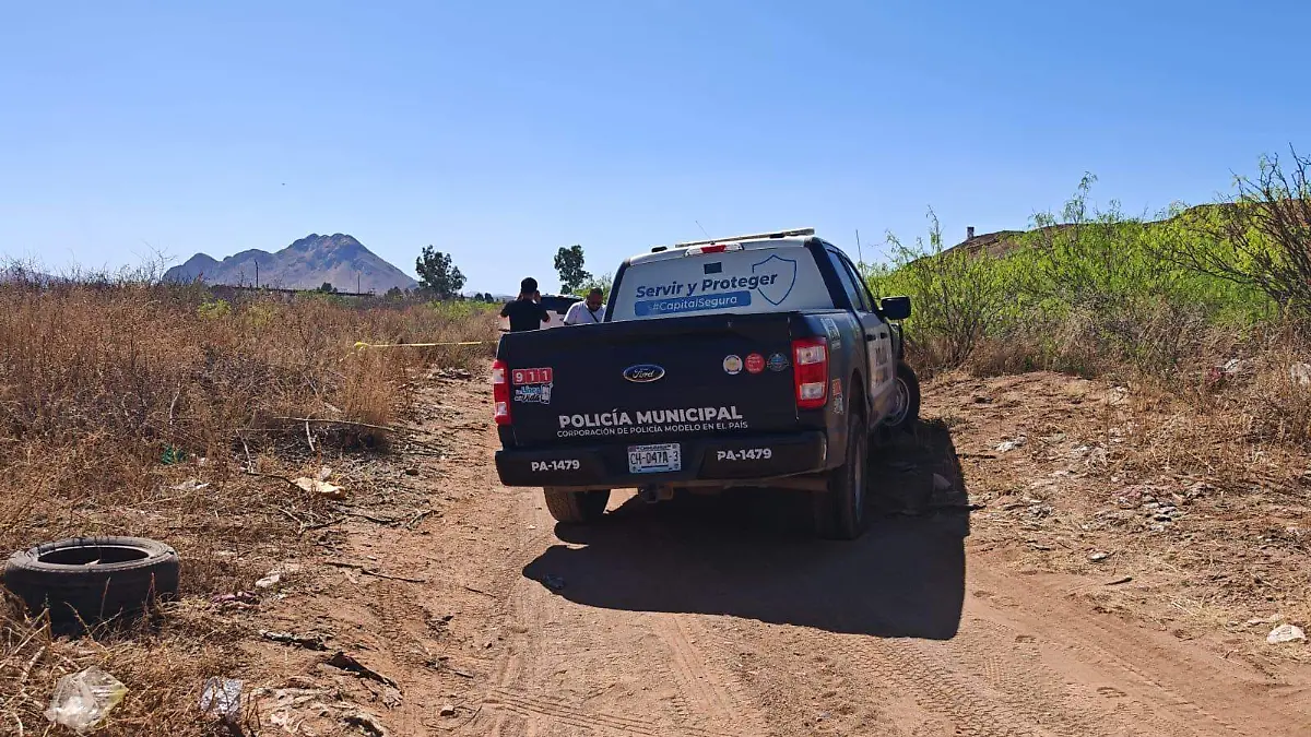 8b24e824-4203-47a4-82fb-6f228bd1a9b7