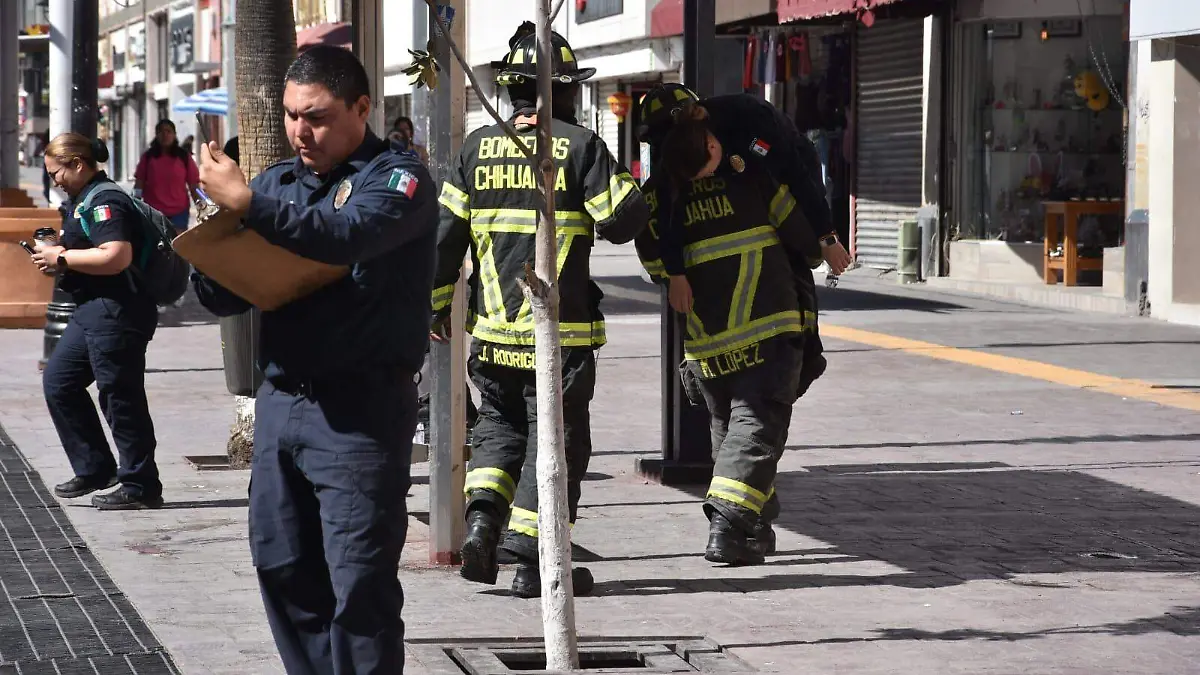 WhatsApp Image 2026-03-25 at 11.15.09 AM