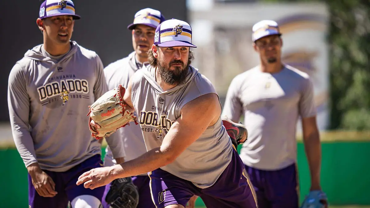 d68b0254-c004-45a5-8e4d-85169d5ed148