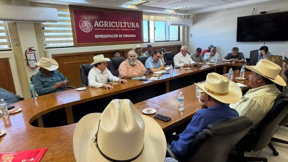 Reunión frijol Sader (1)