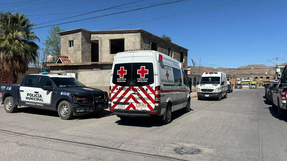 WhatsApp Image 2026-03-25 at 4.04.54 PM