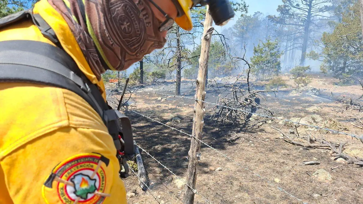 29fc4f12-e44c-49f2-8092-1ce99b3932ce