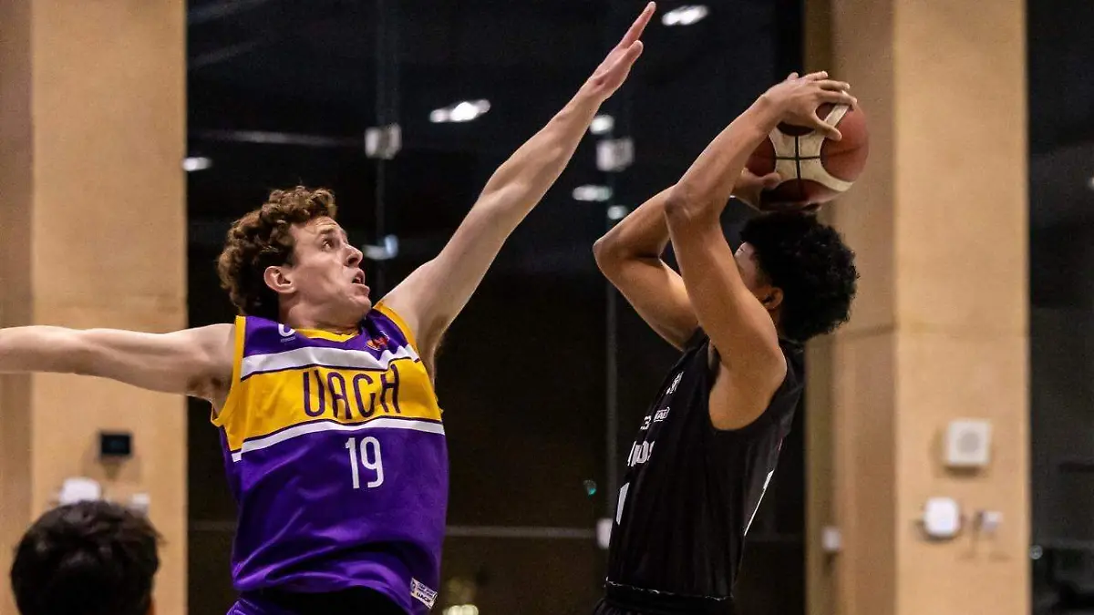 WhatsApp Image 2026-03-26 at 2.02.22 PM