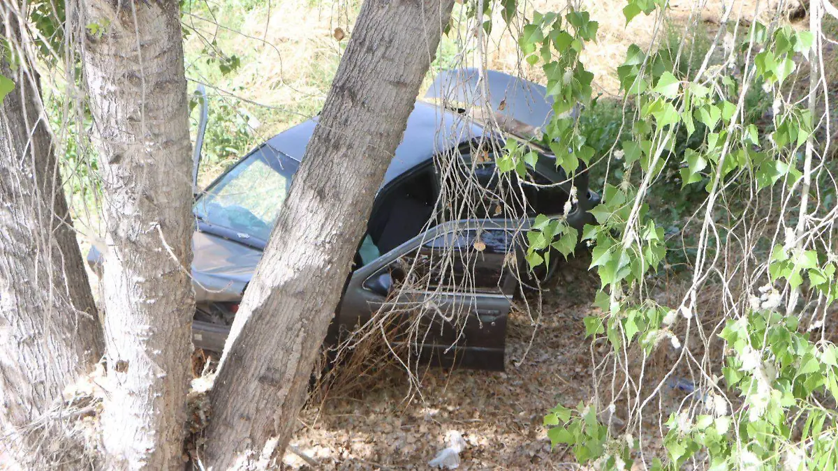 WhatsApp Image 2026-03-27 at 2.42.41 PM