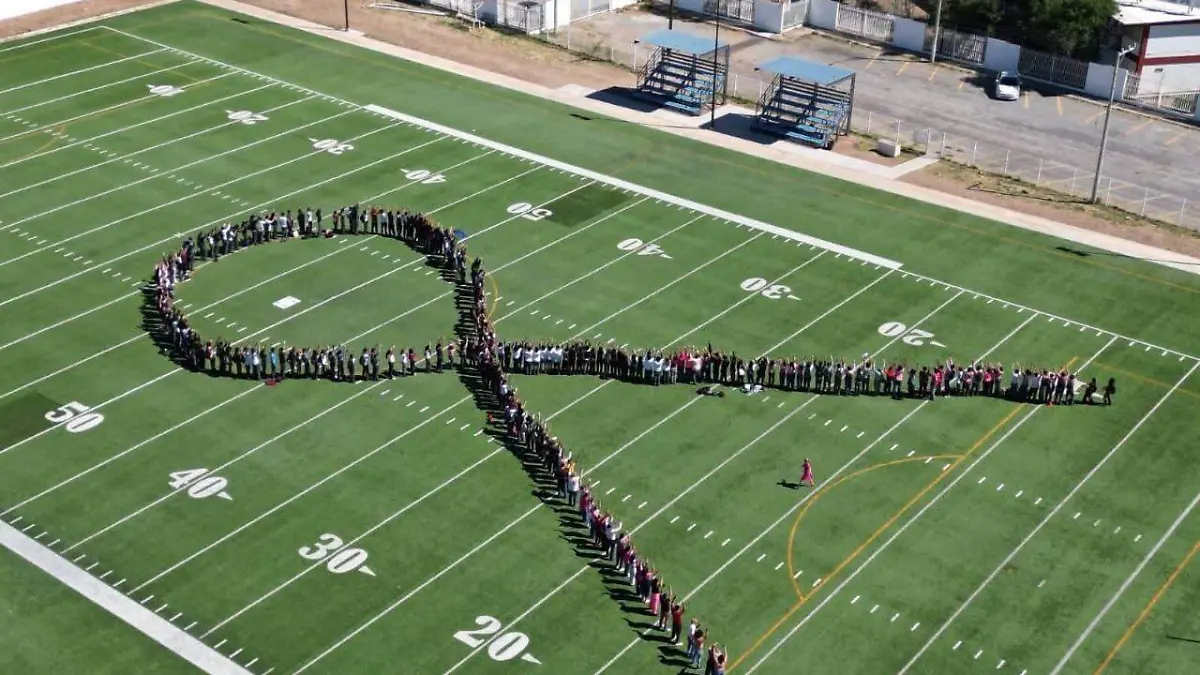 b2b6d076-43da-4129-9589-aeb99a64c2f5