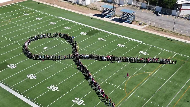 b2b6d076-43da-4129-9589-aeb99a64c2f5