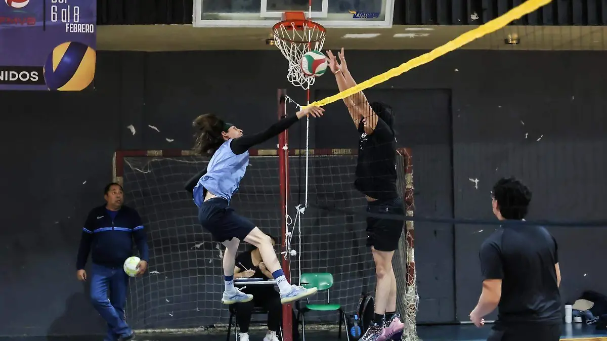 6ce8d895-fe1f-4ccb-ae1e-43d9e46ad683