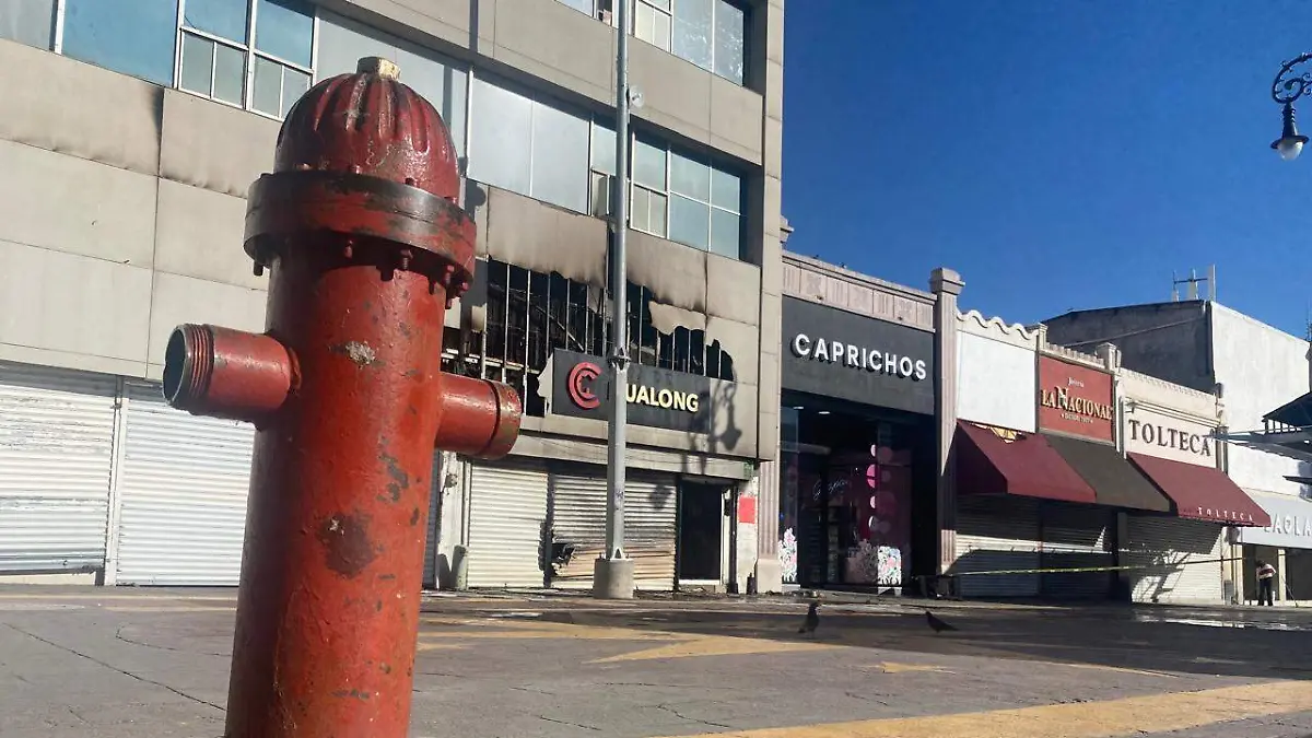 WhatsApp Image 2026-03-28 at 12.38.38 PM