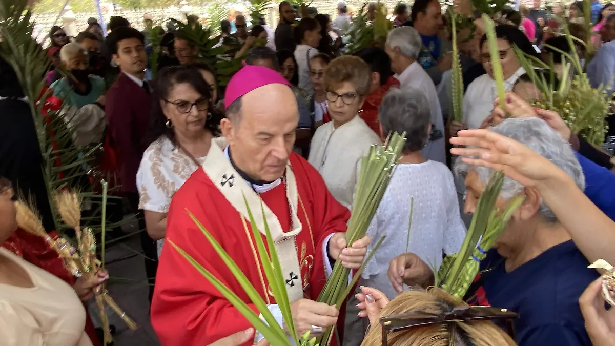 Domingo de ramos en la catedral