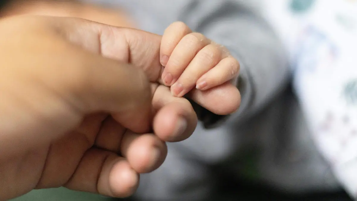 pexels-thgusstavo-29810291