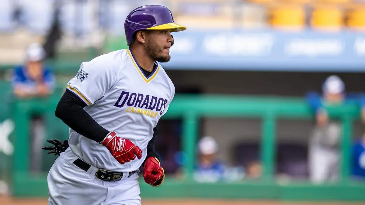 ec0e682a-8486-4a6a-a53a-2a925cd8a5a4