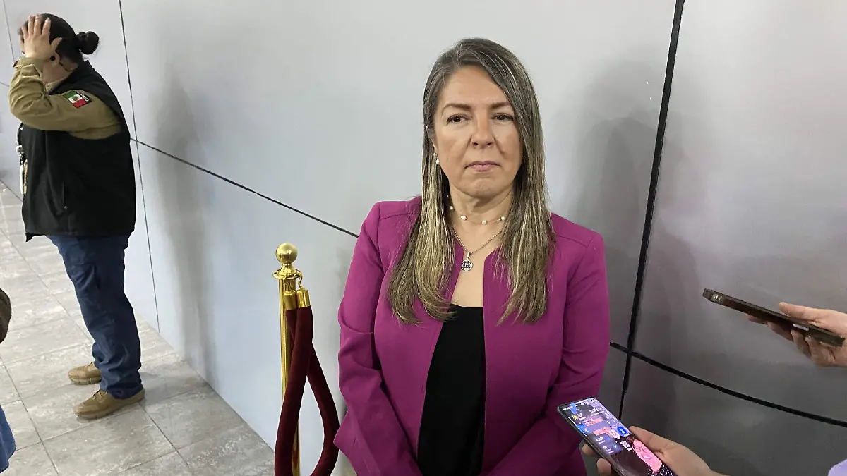 Roxana Díaz diputada