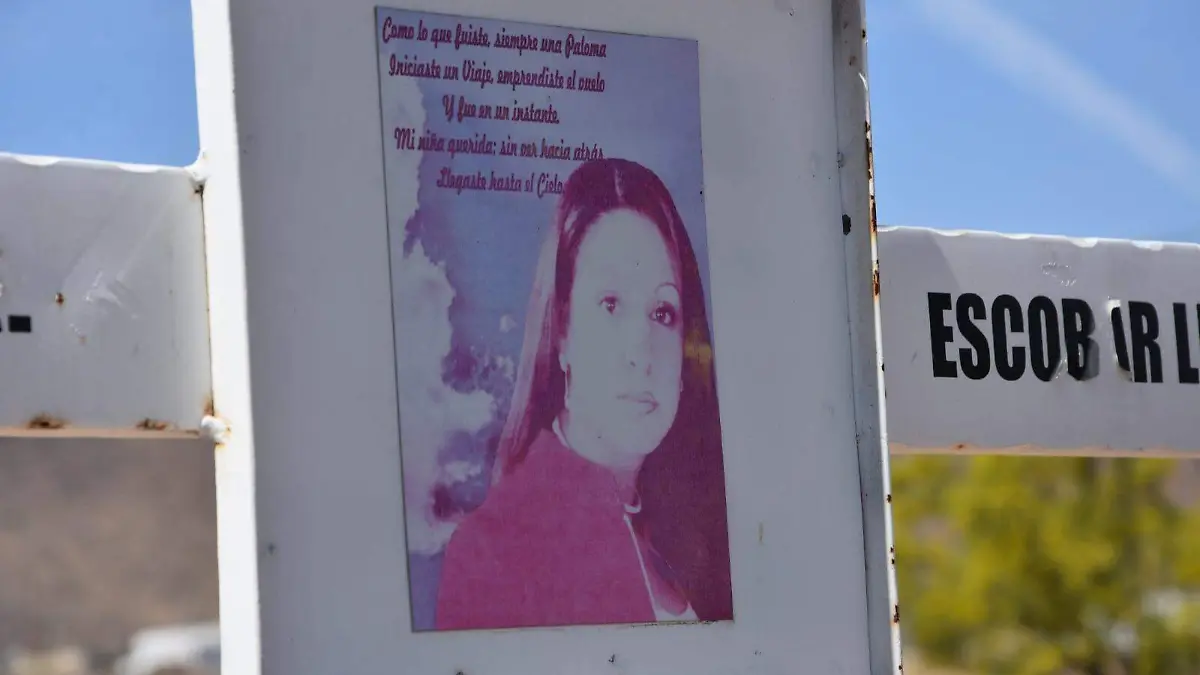 WhatsApp Image 2026-03-30 at 11.53.50 AM