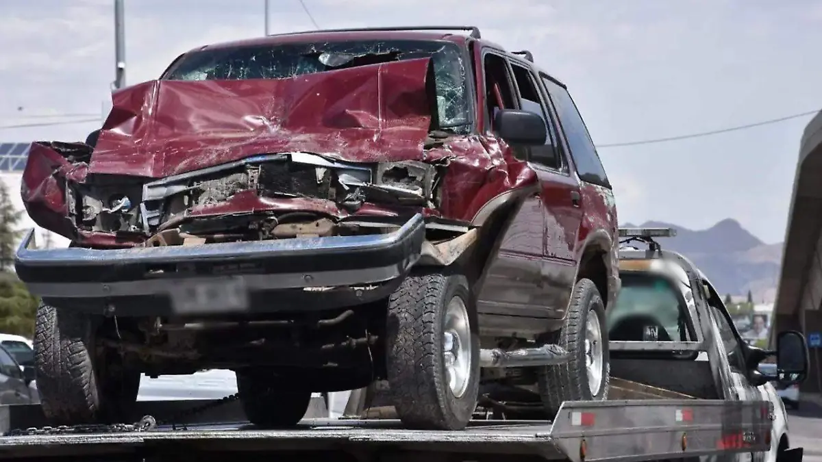 WhatsApp Image 2026-03-31 at 1.32.13 PM