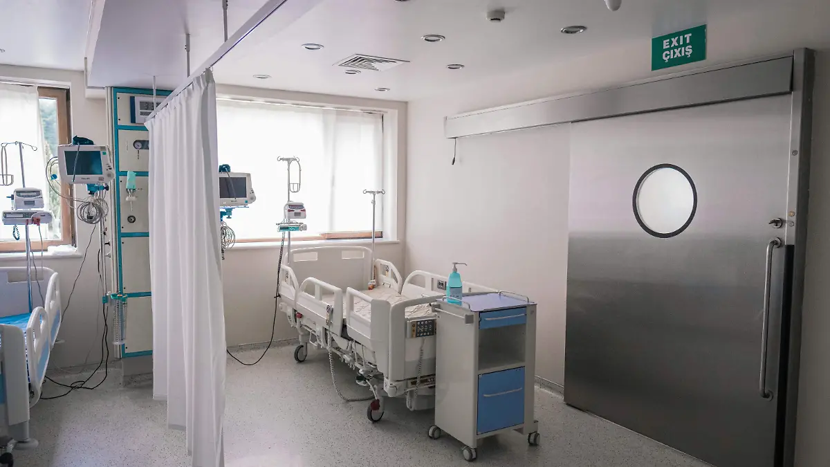 pexels-zeoxs-11782003