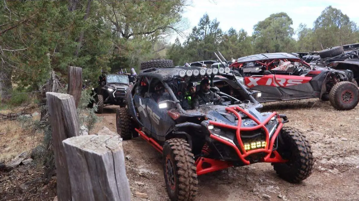 658132446_1553969636734901_530560042920540775_n