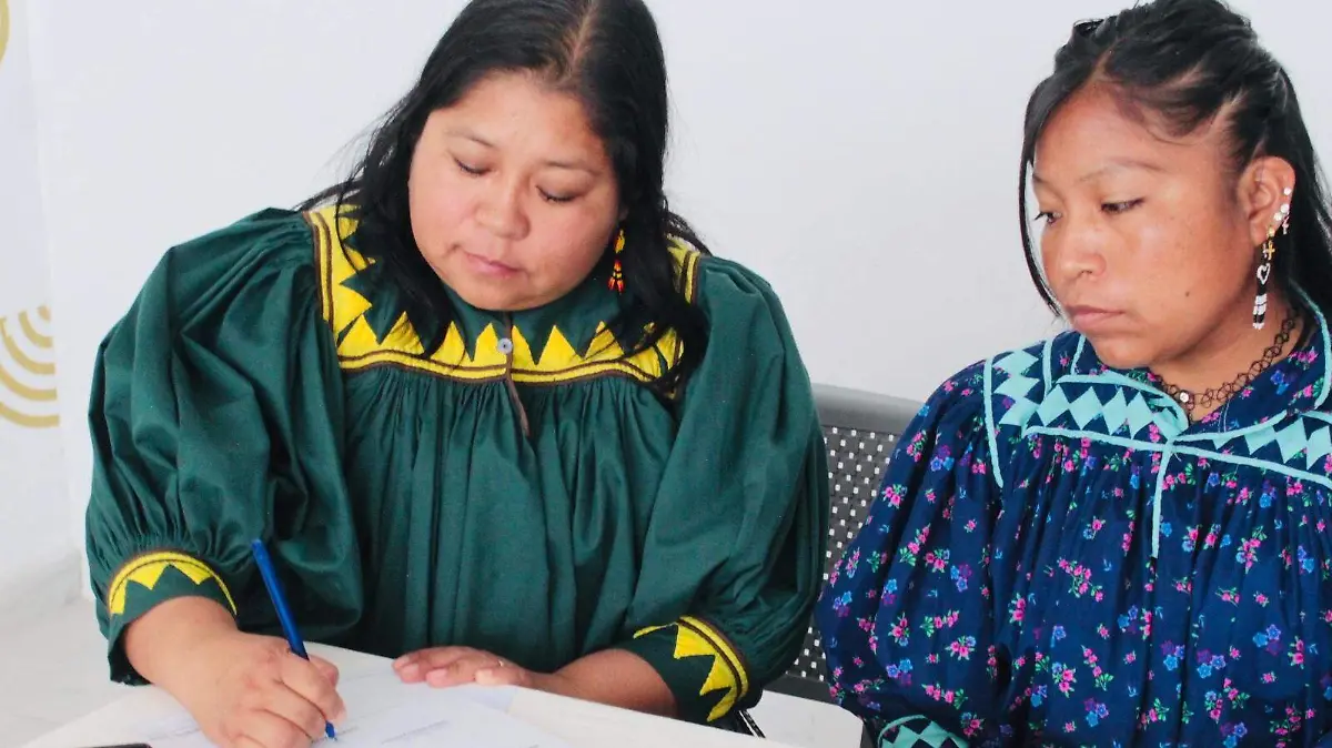 WhatsApp Image 2026-03-31 at 3.46.35 PM