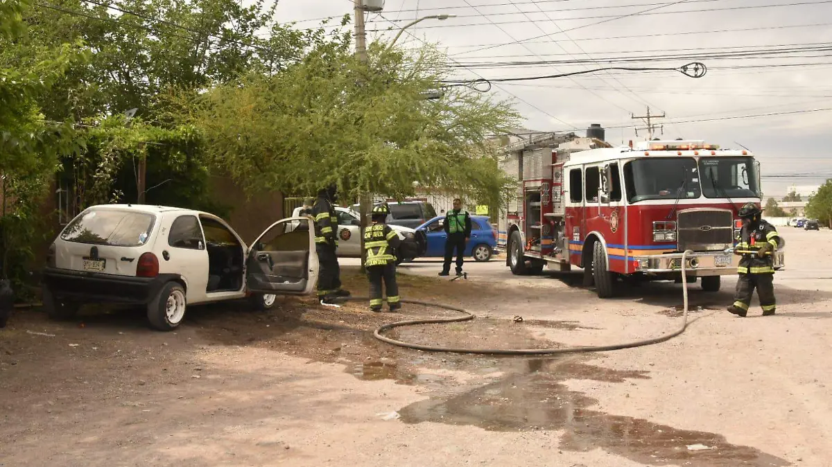 WhatsApp Image 2026-04-01 at 3.49.07 PM