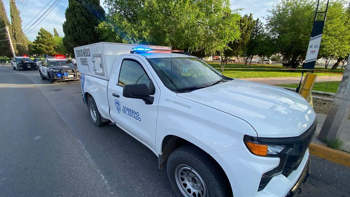 WhatsApp Image 2026-04-02 at 8.10.56 AM (1)