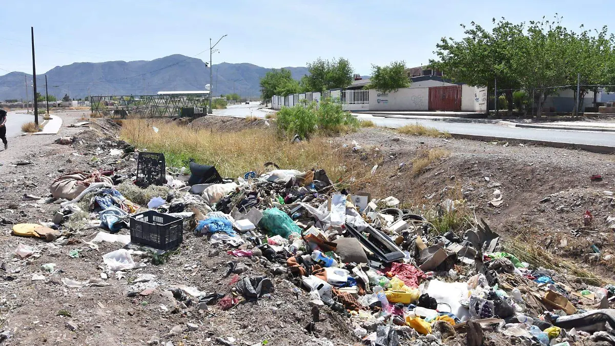 WhatsApp Image 2026-04-01 at 1.02.38 PM (1)