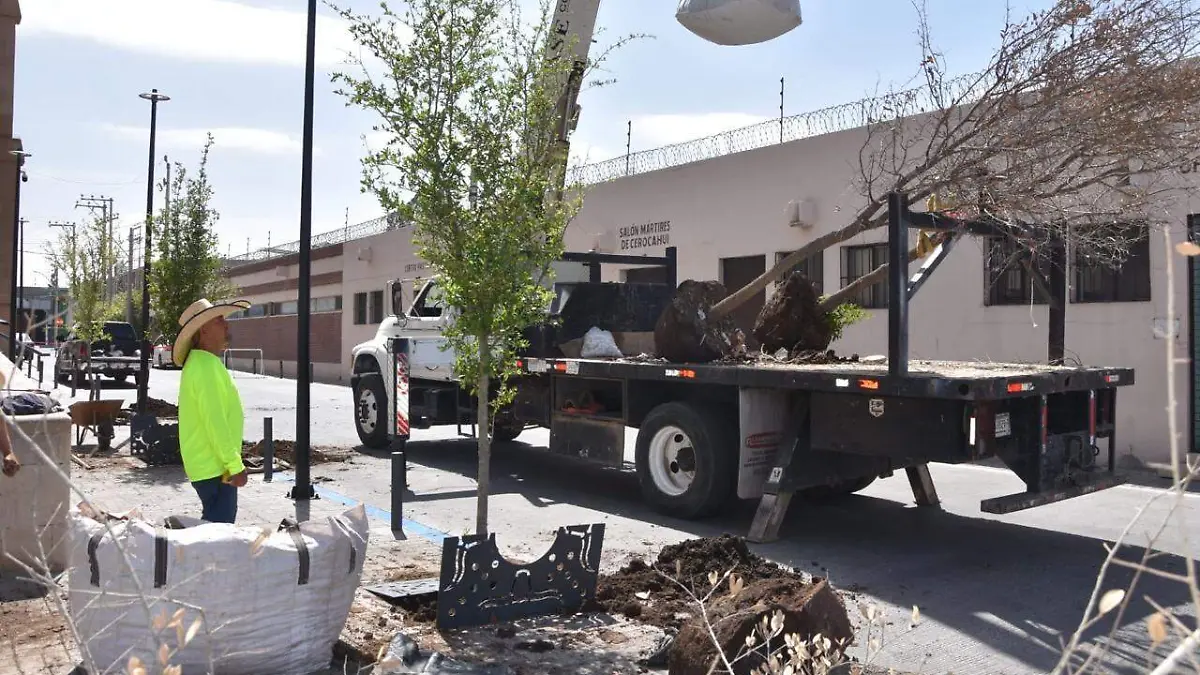 WhatsApp Image 2026-03-30 at 1.32.41 PM (1)