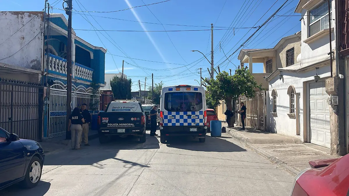 fab25030-c6f9-4071-bc64-fed8d5cd2b2f