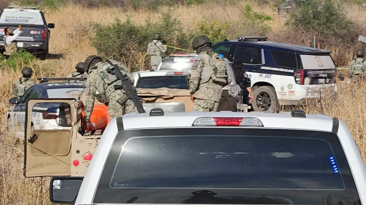 ad32e253-0b51-43f1-bad8-4f8ff61e29bf