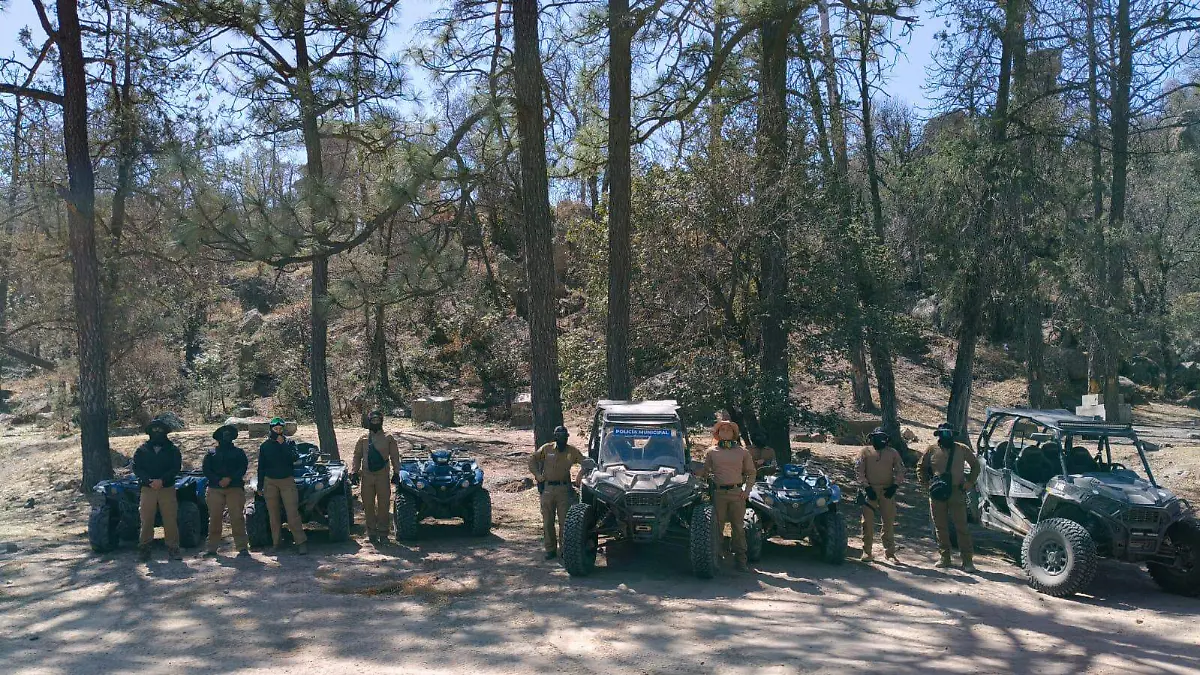 WhatsApp Image 2026-04-03 at 10.11.45 AM