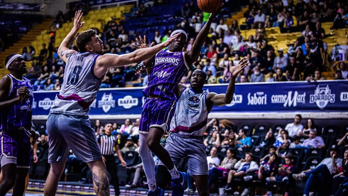 5bb81ef4-acaa-458d-9d61-994b48e58590