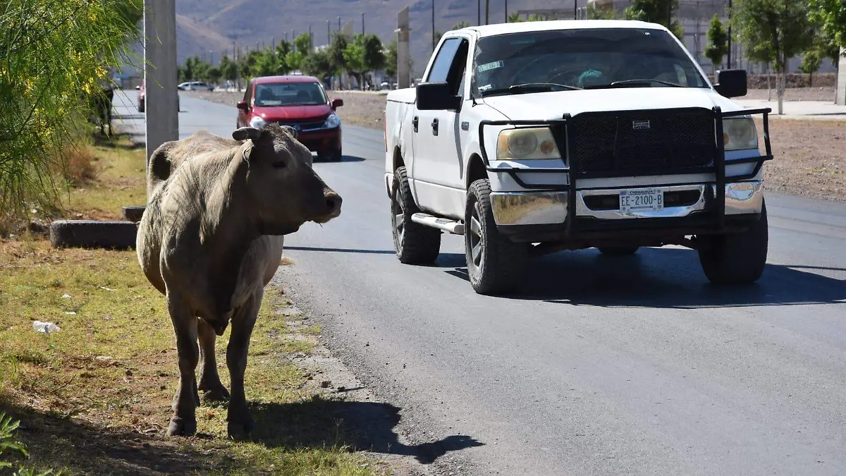 WhatsApp Image 2026-04-03 at 12.53.01 PM