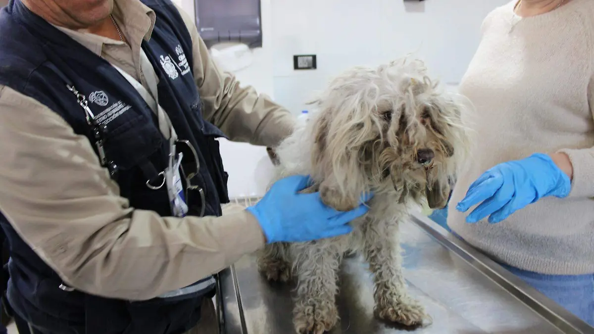 WhatsApp Image 2026-04-04 at 10.21.36 AM