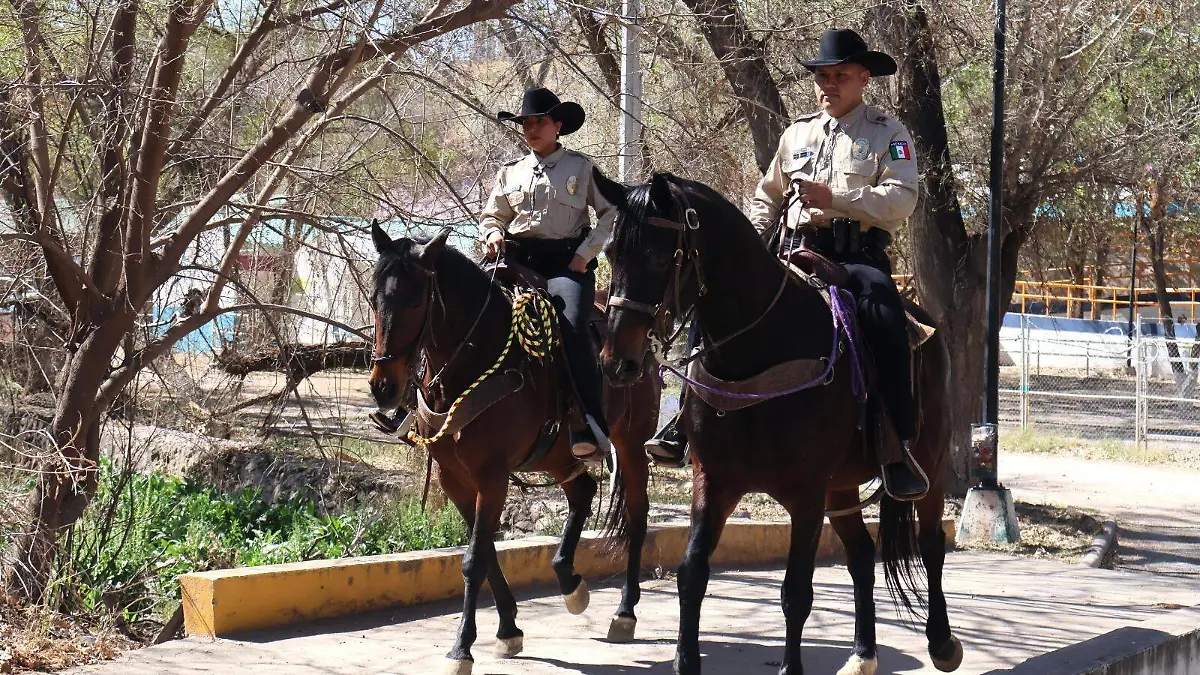 WhatsApp Image 2026-04-05 at 9.32.45 AM