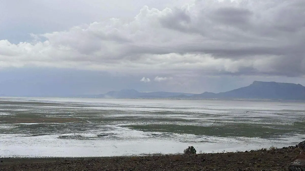 recuepra laguna bustillos