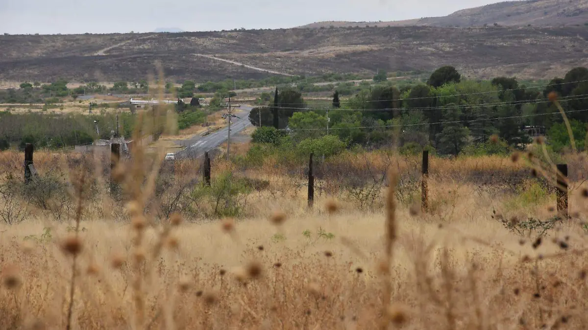 WhatsApp Image 2026-04-06 at 10.47.50 AM (1)