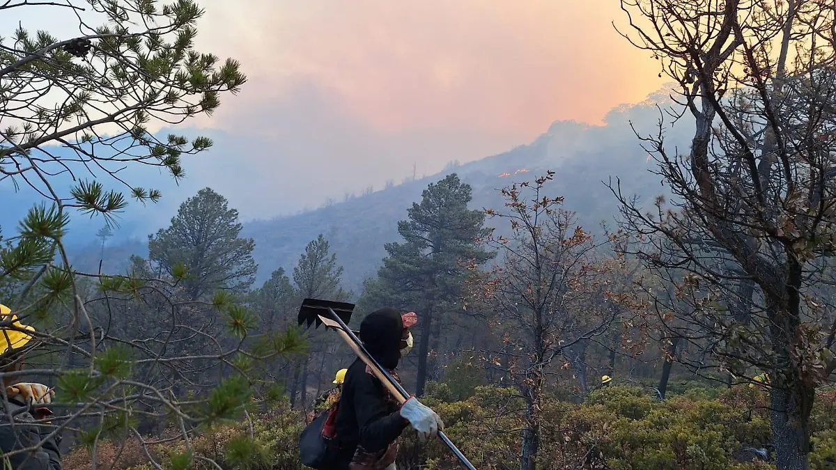 WhatsApp Image 2026-04-06 at 1.17.45 PM