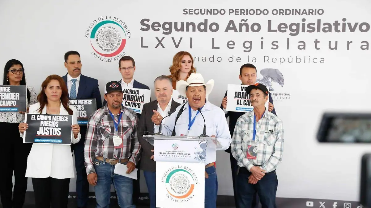 WhatsApp Image 2026-04-08 at 2.39.02 PM